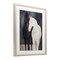 Stupell Industries Equine Twins Of Wind Framed Print Under Glass, design by Svetlana Aleynikova